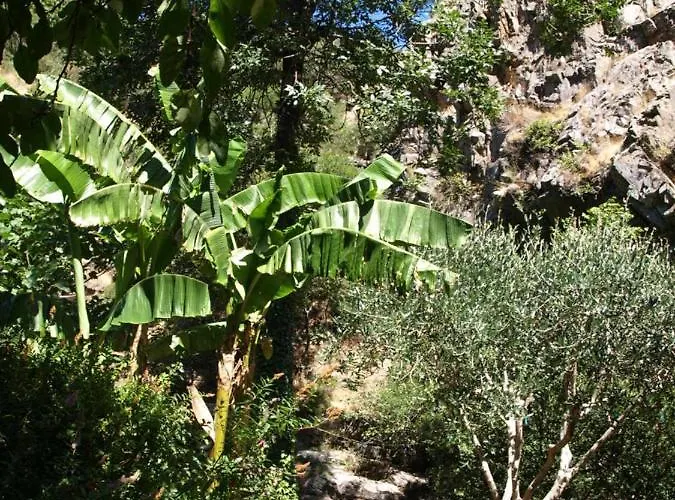 La Bergerie Et La Grange Du Moulin De Tredos Nyaraló